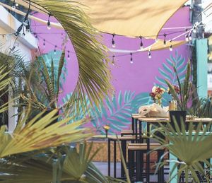 The vibe at Jungle SV in El Tunco