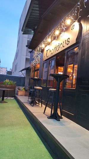  at Thaddeus in Caserta