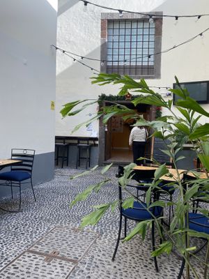 Terrasse  at Fala Fala in Funchal