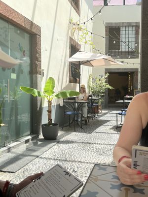   at Fala Fala in Funchal