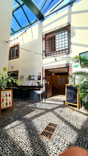 Fala Fala 🌱 at Fala Fala in Funchal