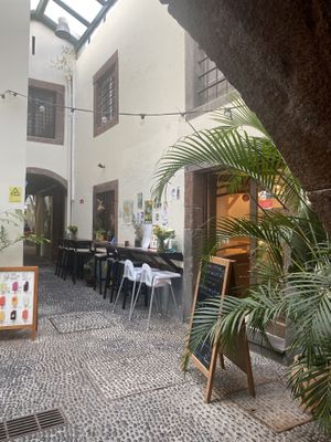   at Fala Fala in Funchal