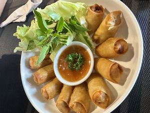 Spring roll  at Plant-erian in Krabi