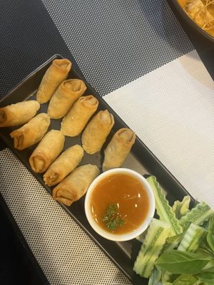 Spring Rolls  at Plant-erian in Krabi