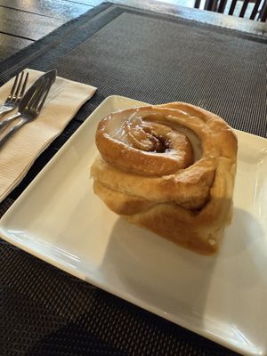   at Plant-erian in Krabi