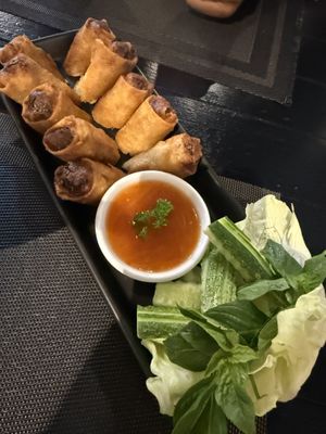   at Plant-erian in Krabi