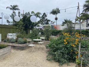 Coffee garden  at Dart in Santa Barbara
