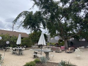 Coffee garden  at Dart in Santa Barbara