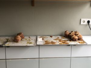   at Saint-Jean in Amsterdam