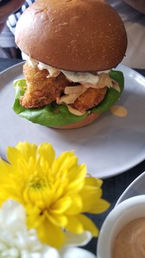 Vegan chicken burger at Earthen  in Brooklyn