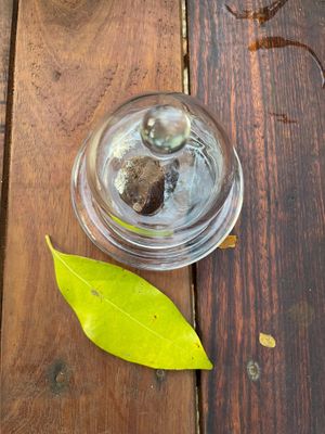 Chocolate dessert. at Mayita Mamita in Tulum