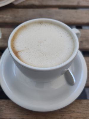 Oat milk cappuccino at Lampadina in Bologna