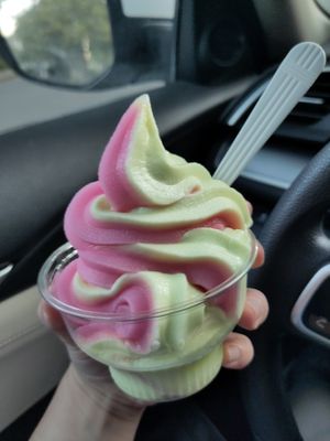 Owner was nice and gave us a vegan sherbet for free! at Thai Neighbor in Oak Park