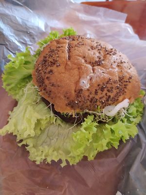  at Natura 2000 in Campeche