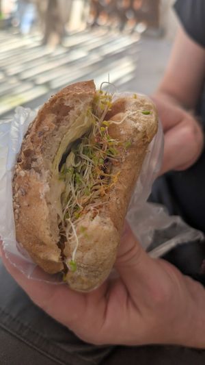 Chori soya torta at Natura 2000 in Campeche