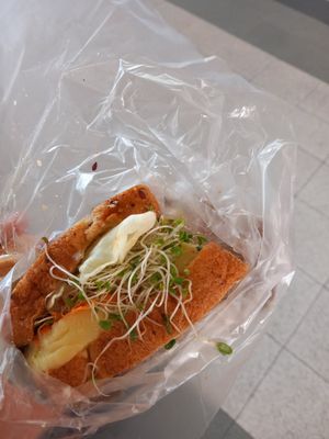  at Natura 2000 in Campeche