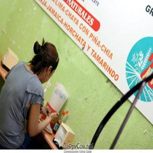  at Natura 2000 in Campeche