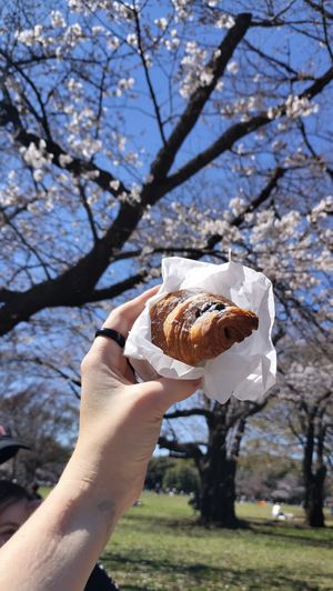 Choccy croissaint at Tokyo Vegan Bakes in Tokyo