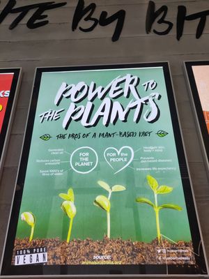  at Lord of the Fries in Christchurch