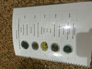 Menu#1 at Tinh Tam - Minh mang in Hue