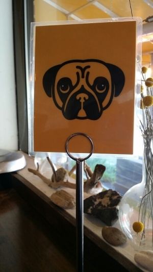 pug table placeholder :) at The Lunch Room in Ann Arbor