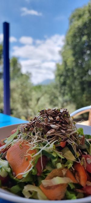   at Bayit 77 in Amirim