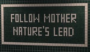 Wall art  at Sweetgreen - Lexington Ave in New York City