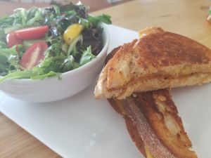 merc melt with side salad at The Mercury Café in New Castle