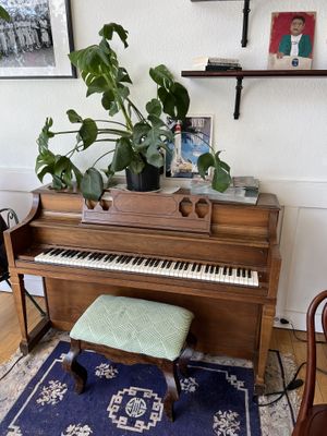   at Lazy Cow Bakery in Seattle