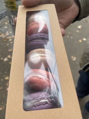 Macaroons  at Lazy Cow Bakery in Seattle
