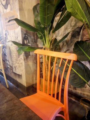  at Fava Pot in Washington