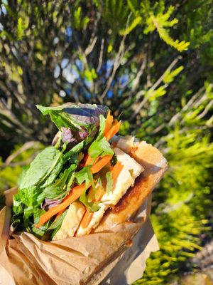  at The Laughing Elephant in Wentworth Falls