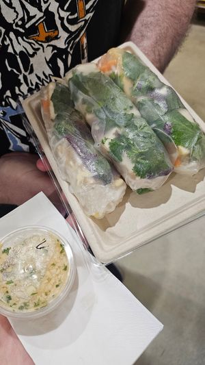 Vegan rice paper rolls at The Laughing Elephant in Wentworth Falls