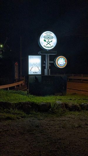  at Gajimaru in Okinawa