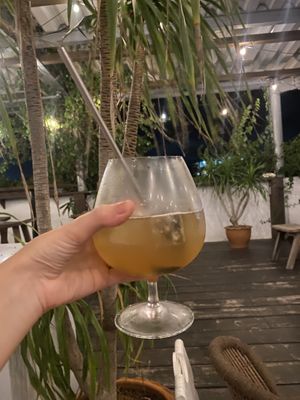   at Gajimaru in Okinawa