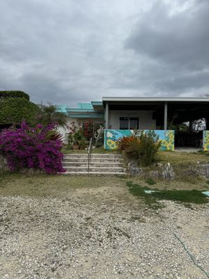   at Gajimaru in Okinawa