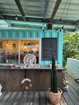   at Gajimaru in Okinawa