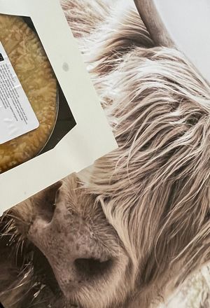 Pâté au “poux laid” 😂 at KP Pour Emporter in Sainte-agathe-des-monts