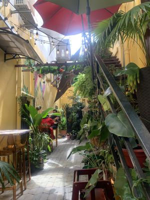 What awesome decor.  We loved it!! #Veganuary at Dushi Delicious  in Oranjestad