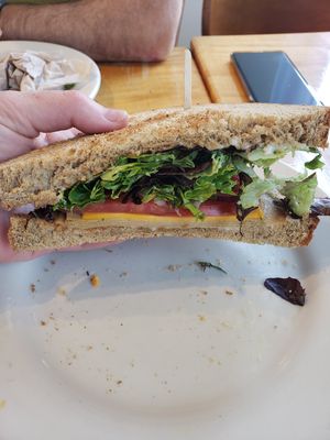 Awesome Sammie! at Wild Chestnut Cafe in Florence