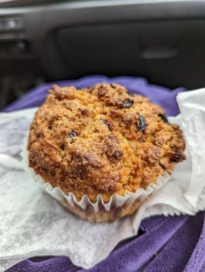 Cranberry walnut muffin at Wild Chestnut Cafe in Florence