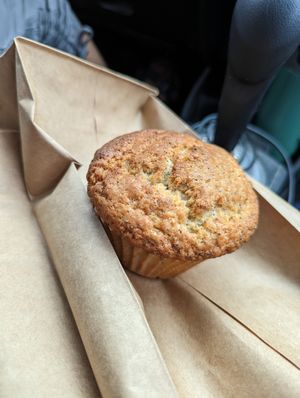Lemon poppyseed muffin at Wild Chestnut Cafe in Florence