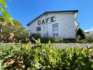 Wild Chestnut Cafe in Florence, MA at Wild Chestnut Cafe in Florence