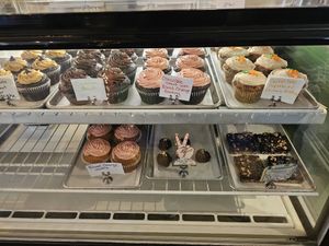 Cupcakes at Wild Chestnut Cafe in Florence