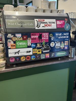 Animal rights stickers  at Wild Chestnut Cafe in Florence