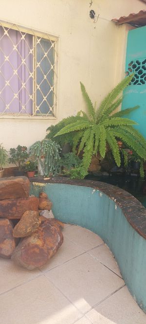 Espaço lindo at Krishna Restaurant in Belo Horizonte