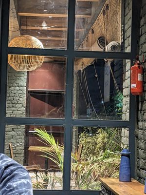  at Quyu's Taproom in Jaipur