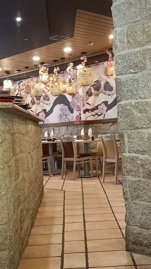  at Yokozo Sushi Lounge in Covilha