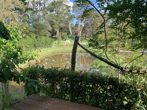   at haha vegan Ryokan in Beechworth