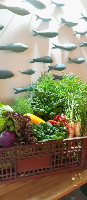 Preferimos vegetales orgánicos  #Veganuary at Koi Cocina Asiatica in Guatape